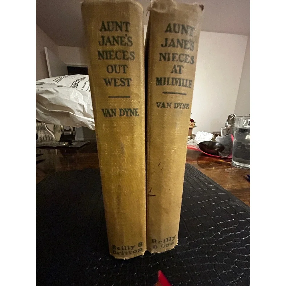 Aunt Janes Nieces Out‎ West Aunt Janes Nieces At Millville Vintage Books Set - Picture 6 of 7